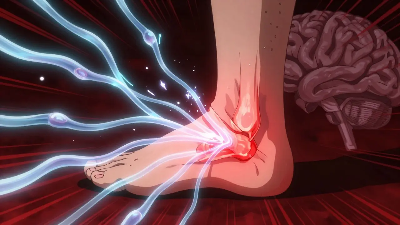 Nociceptive Pain: How Tissue Injury Works and Why NSAIDs Often Beat Acetaminophen